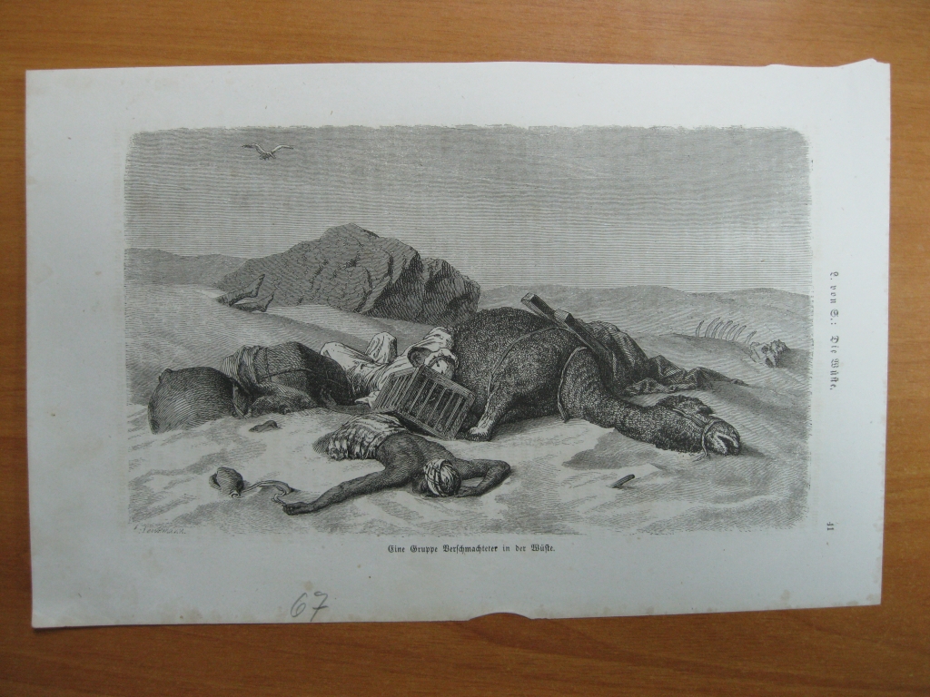 Final trágico de una expedición  en el desierto africano, 1867